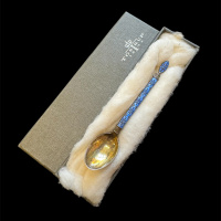 Norwegian Silver and Enamel spoon by Jacob Tostrup thumbnail