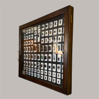 Entomology collection in display cabinet, mainly beetles.  Early 20th Century thumbnail