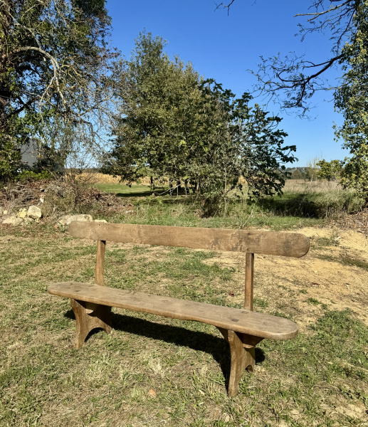 French Walnut bench